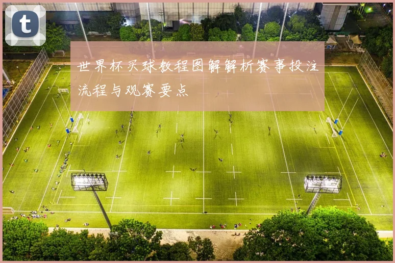 世界杯买球教程图解解析赛事投注流程与观赛要点